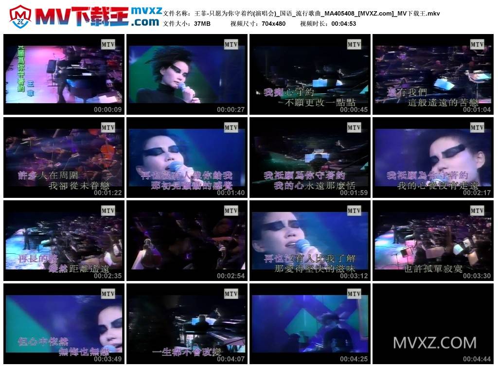 王菲-只愿为你守着约(演唱会)_国语_流行歌曲_MA405408